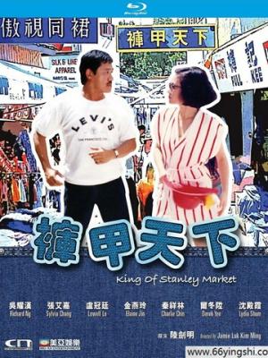 温暖的陪伴